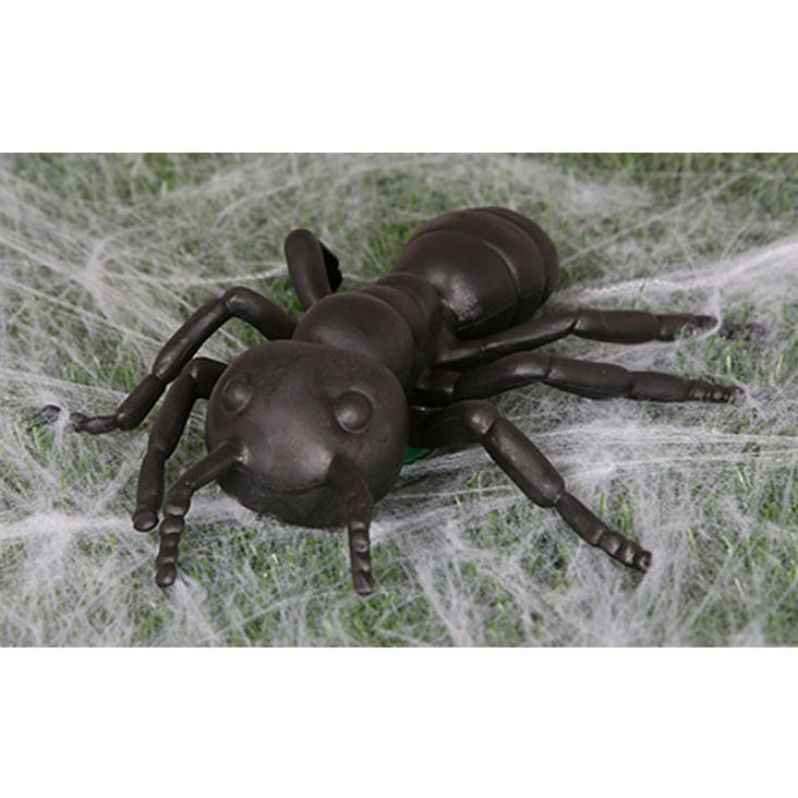 Jätti Muurahainen - Hyönteiset - 21970 - 1