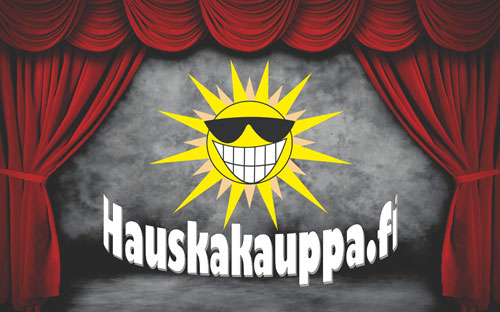 Lahjakortti 100€ - Hauskakauppa - 20006-100 - 1