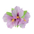 Kukkakoru hiuksiin Violetti - Kukat - 13651 - 1