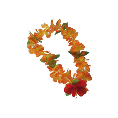 Lei Oranssi kukalla - Leit - 19122 - 1