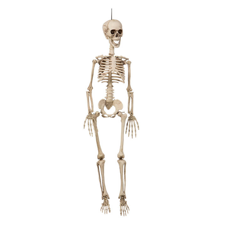 Luuranko 90cm - Luurangot - 31802 - 1