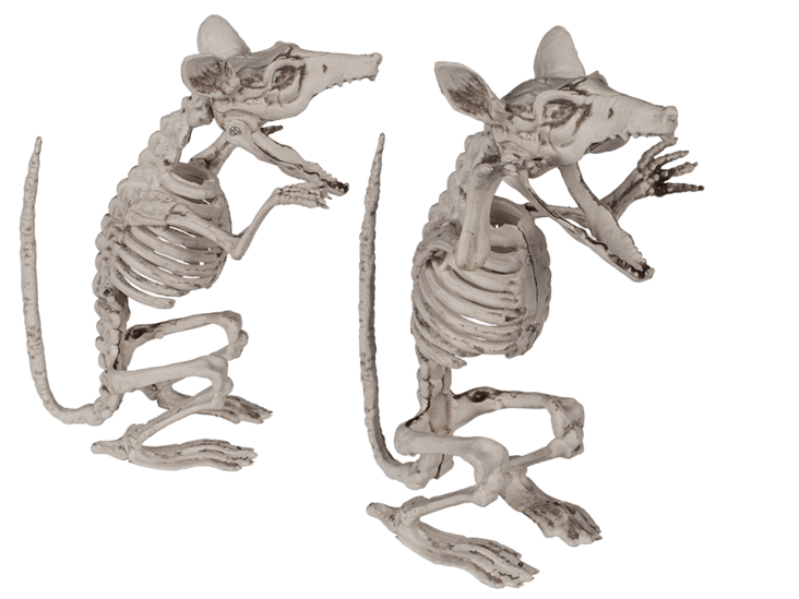 Luuranko rotta - Pienet somisteet - 30222 - 1