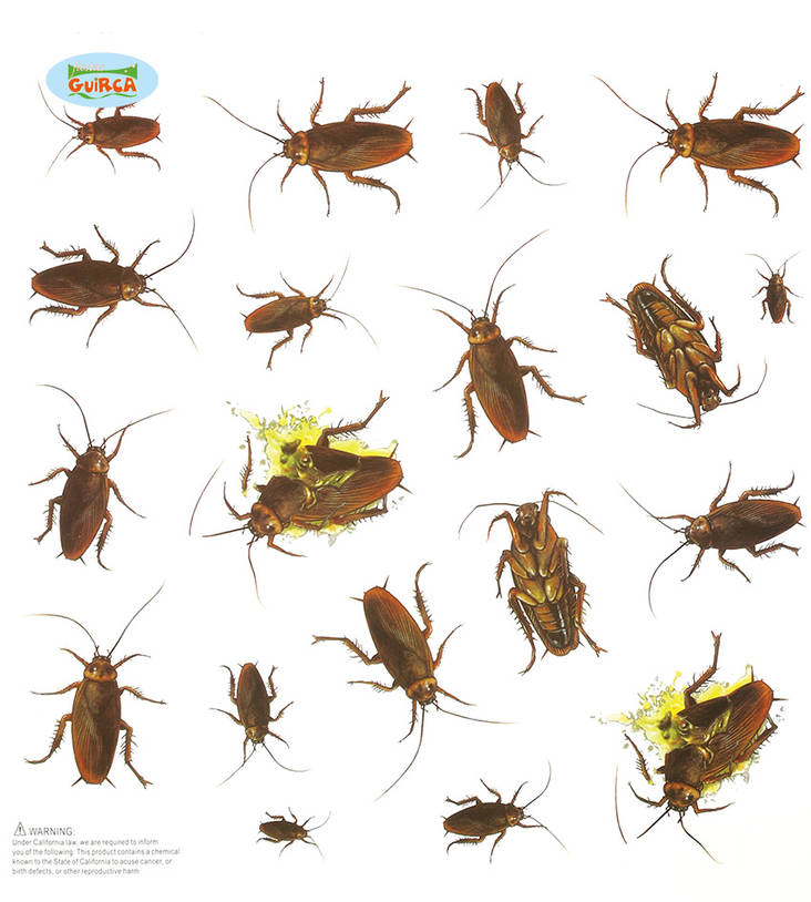 Torakka tarrat - Tarrat, bannerit ja muut - 30462 - 1