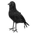 Musta korppi - Lepakot ja Lentävät - 17903 - 1