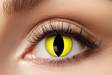 Piilolinssi crazy cat eyes, 1 vuosi - Piilolinssit - 19433 - 2
