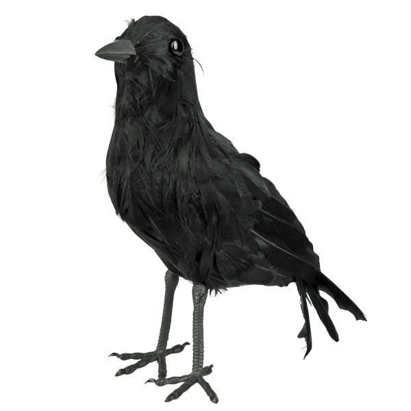 Musta korppi - Lepakot ja Lentävät - 17903 - 1