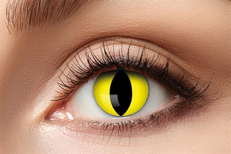 Piilolinssi crazy cat eyes, 1 vuosi - Piilolinssit - 19433 - 2
