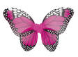 Pienen perhosen siivet+taikasauva pinkki - Siivet - 30084 - 2