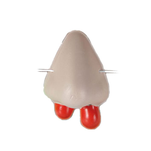 Isohko nenä veriklimpeillä - Nenät - 14644 - 5