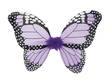 Pienen perhosen siivet+taikasauva violet - Siivet - 30086 - 2