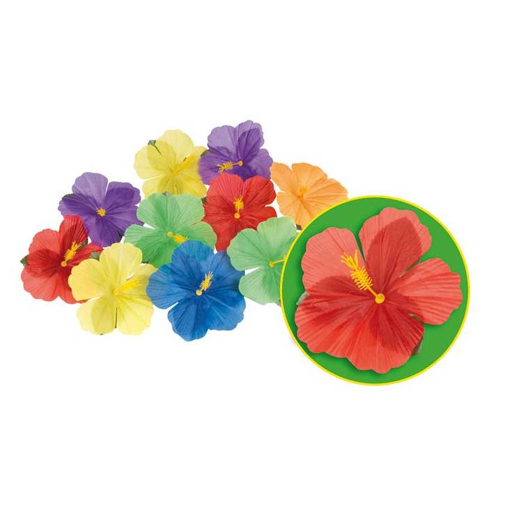 Aloha kukkaset - Aloha / Hawaji - 14356 - 1