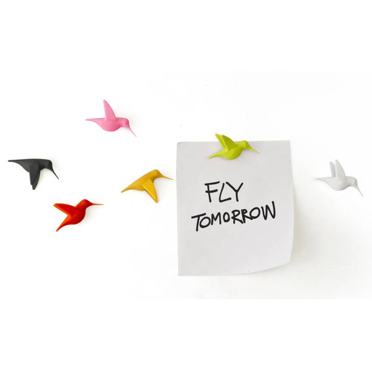 Kolibri-Magneetit Qualy - Toimisto - 10026 - 1