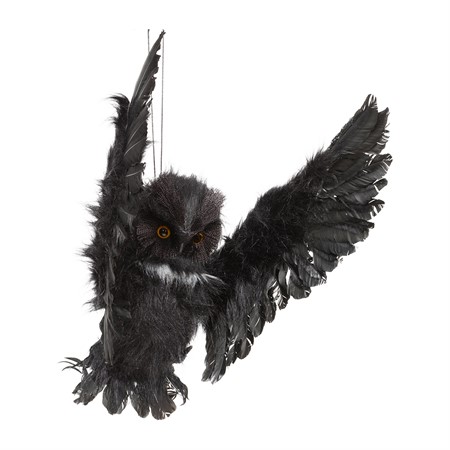 "Lentävä" Pöllä - Lepakot ja Lentävät - 31156 - 1