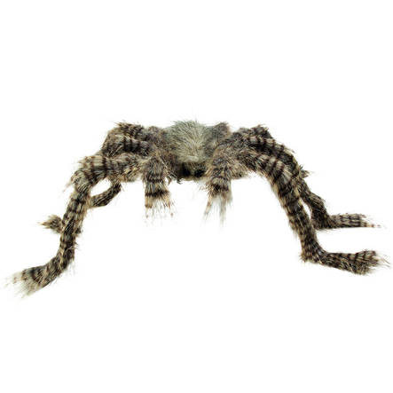 Hämähäkki Iso - Hämähäkit - 20239 - 1