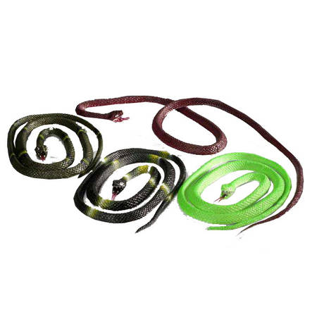 Käärme - Käärmeet ja Sammakot - 10959 - 1