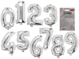 Foliopallo Nro.1 Hopea pieni - Numerot - 21709 - 1